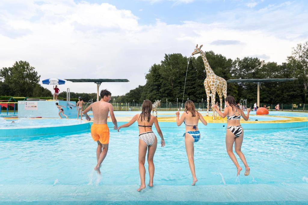 Bazén v ubytování Glamping Belgisch Limburg nebo v jeho okolí