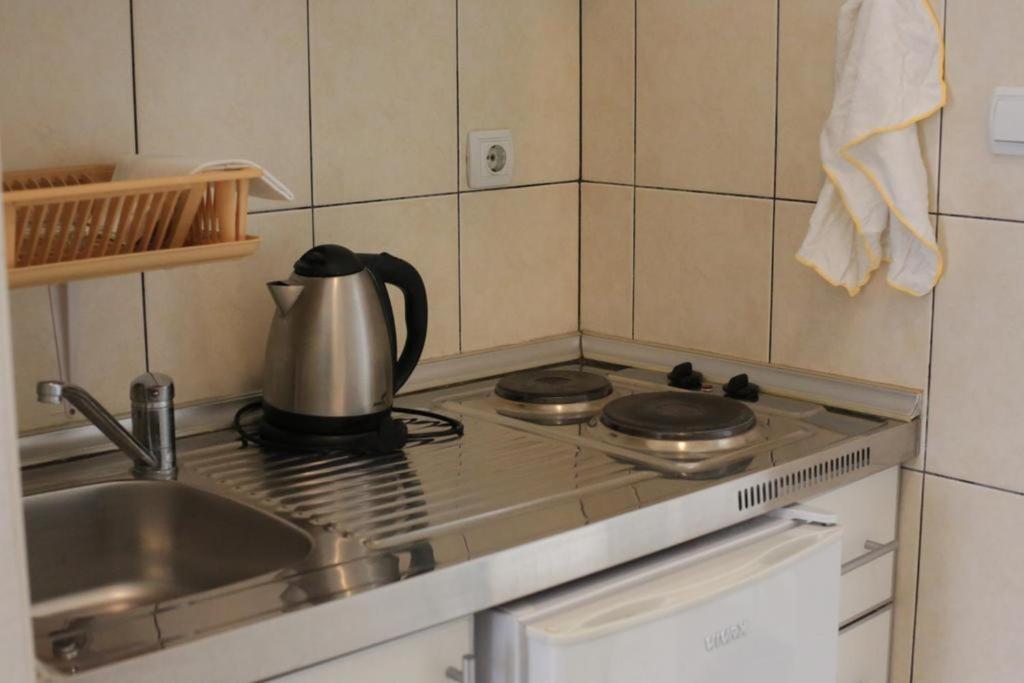 Kuchyň nebo kuchyňský kout v ubytování Villa Alba Apartments