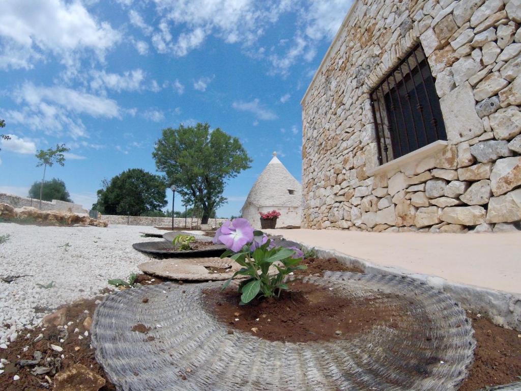 Zahrada ubytování i Trulli del Fauno