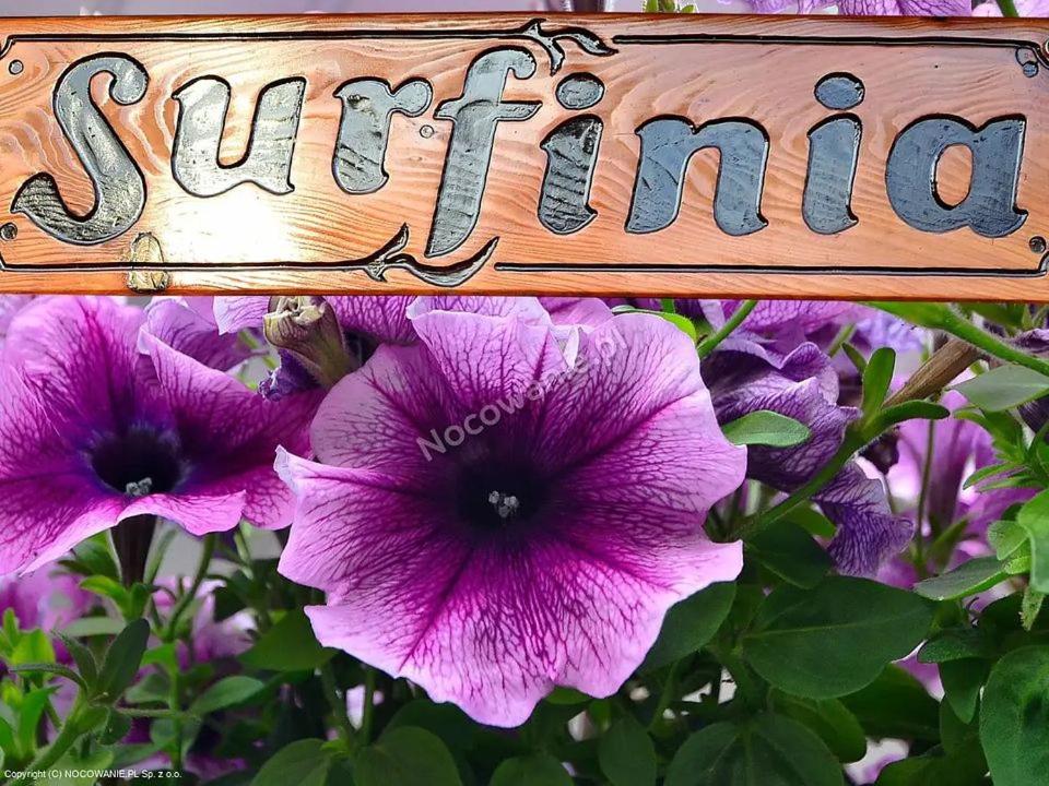 un cartel con la palabra verano encima de las flores púrpuras en POKOJE GOŚCINNE SURFINIA, en Gdansk