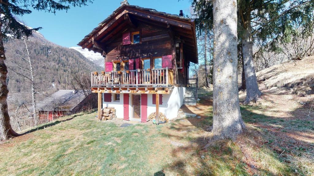 Příroda nedaleko apartmánu
