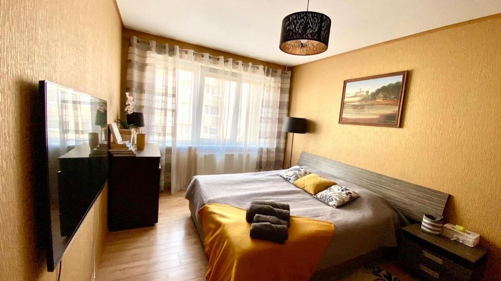 een kleine slaapkamer met een bed en een raam bij Cozy one bedroom apartment in the city center in Mažeikiai