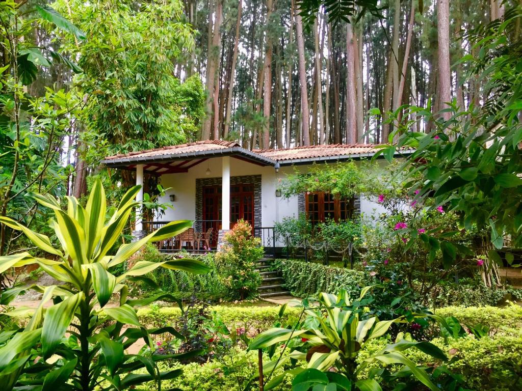 een klein huis midden in een tuin bij Gimanhala Diyathalawa in Diyatalawa