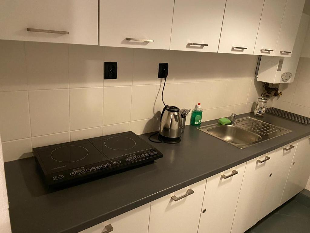 Kuchyňa alebo kuchynka v ubytovaní Main Square 18 King Apartament
