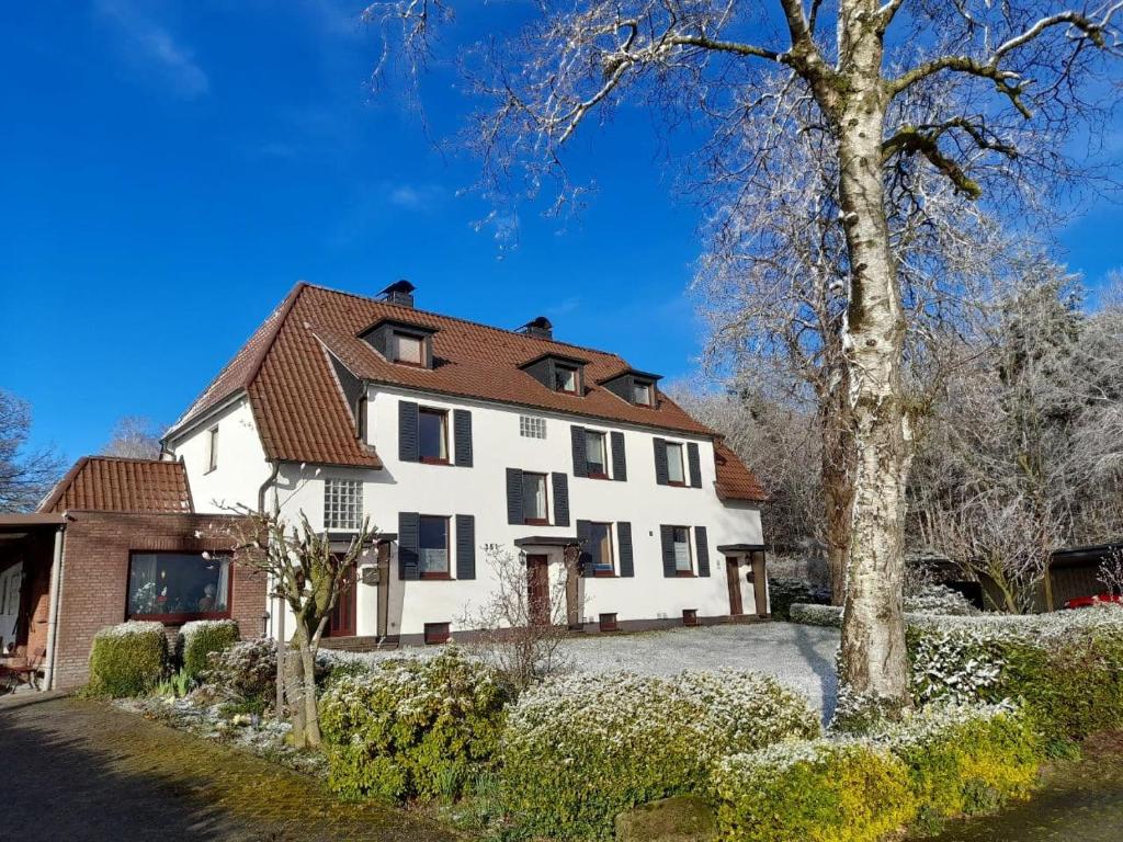 ノルトホルンにあるLovely House in the countryside by Nordhornの手前に木が植えられた大白い家