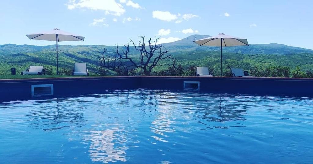 Terre di GIORGIO Agriturismo Villa la Palazzetta - 19