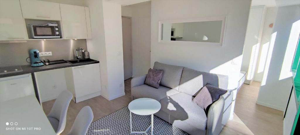 un salon avec un canapé et une table dans l'établissement Dana centre mer 23, à Nice