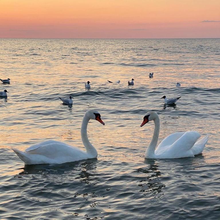 Тридевятое царство - отзывы и видео