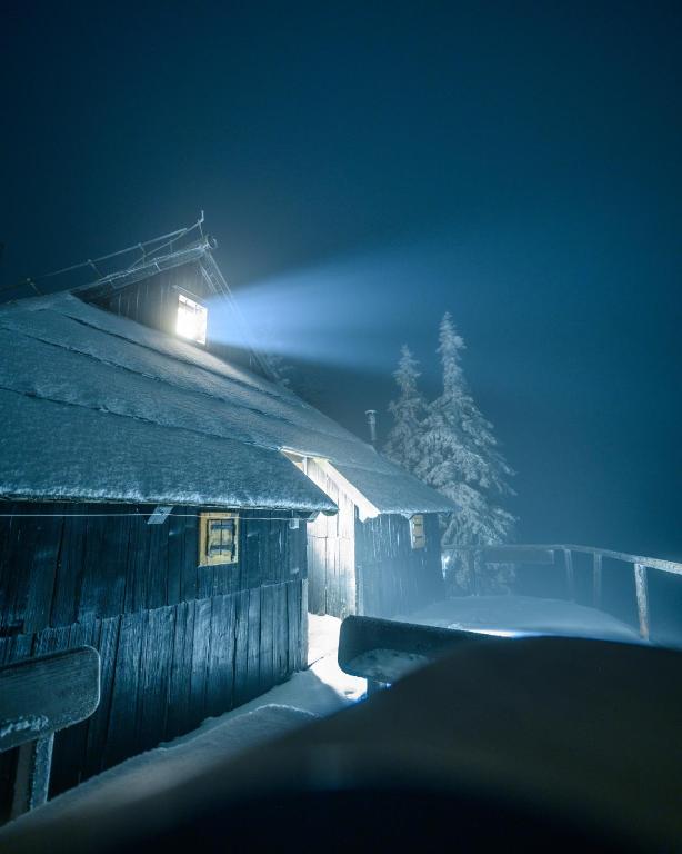 Koča Bistra - Velika planina v zimě
