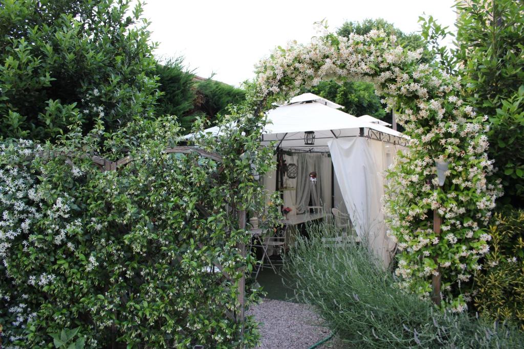 明喬河畔瓦萊焦的住宿－多爾斯維塔住宿加早餐旅館，一座带白色花朵的拱形花园