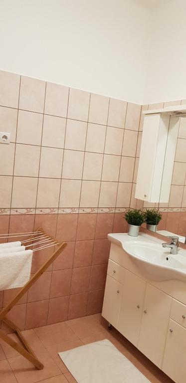 La salle de bains est pourvue d'un lavabo et d'un miroir. dans l'établissement Alice Vendégház, à Kalocsa