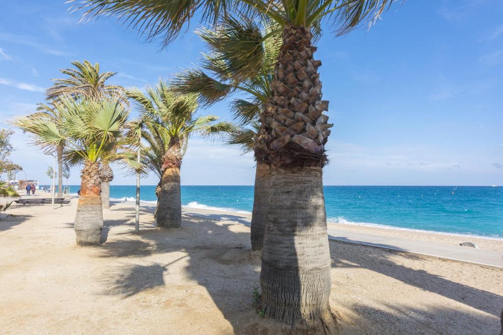 Fotografia z galérie ubytovania HomeHolidaysRentals Palmier v destinácii Pineda de Mar