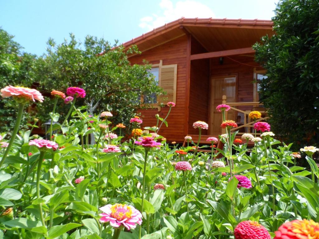 a garden with flowers in front of a house at Ugur Pansiyon Bungalows in Cıralı