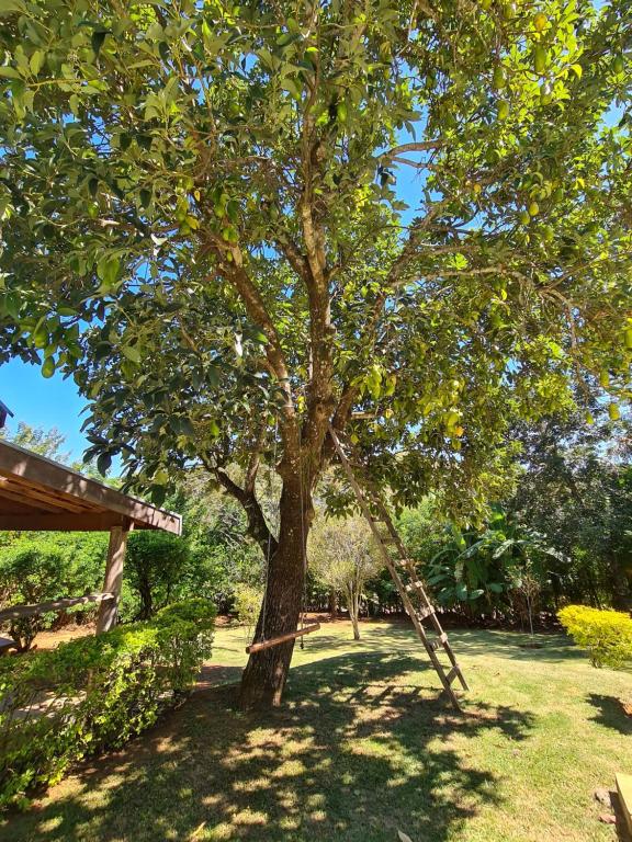  Chácara rústica com piscina em meio a natureza