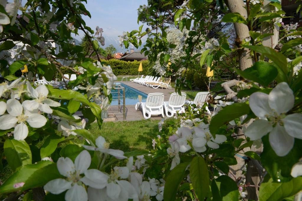 Bazén v ubytování Hotel Tannerhof nebo v jeho okolí