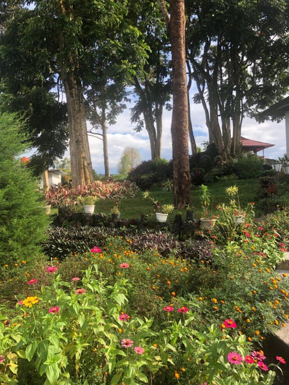 einen Garten mit Blumen und Bäumen in einem Park in der Unterkunft A beautiful and Spacious Rumah Manado 2 Bedrooms with Bathrooms Villa Marion Tomohon in Tomohon