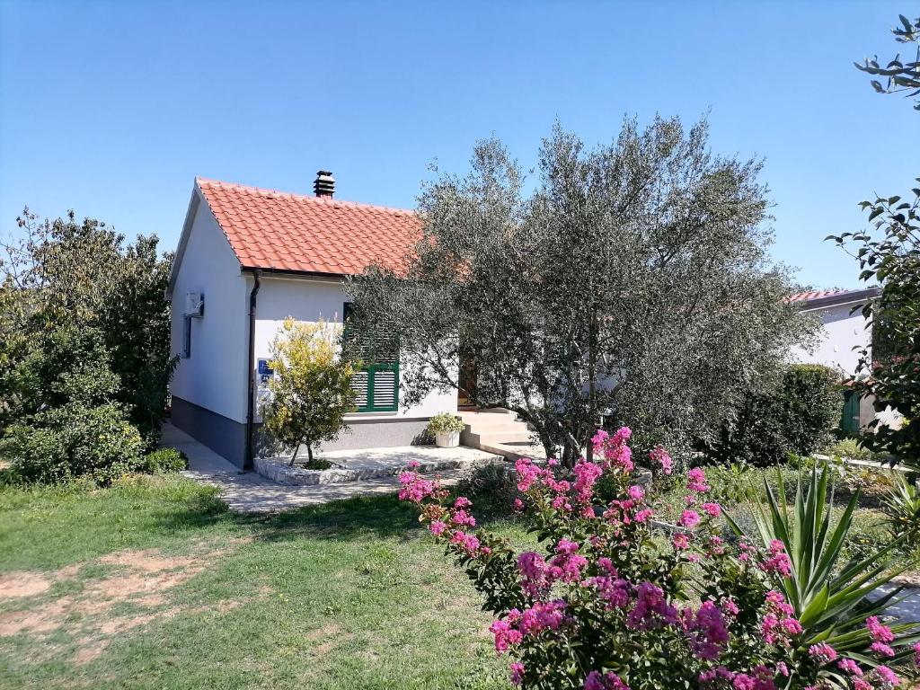 Vonkajšia záhrada v ubytovaní House Pansy