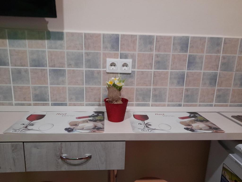 Andrea Apartman 4200 Hajdúszoboszló, Attila utca 55/a kép - 1