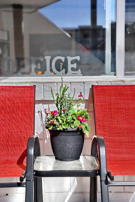 Posezení v ubytování Duncan Motel
