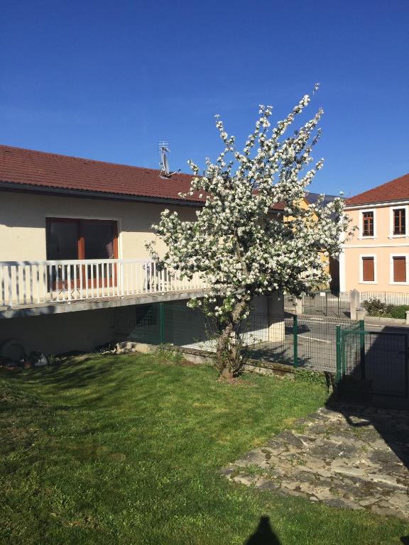 un arbre avec des fleurs blanches dans une cour à côté d'une maison dans l'établissement Maison entière au pied du plateau du retord 2 chambres SDB - Vouvray, à Ochiaz