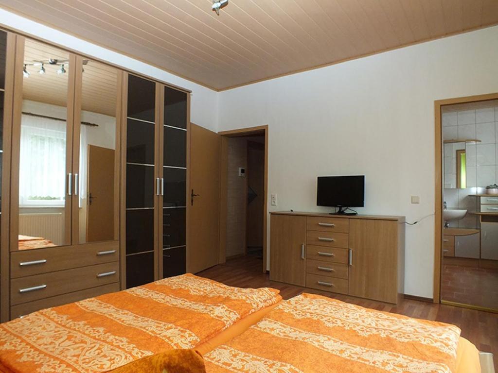 a large bedroom with a bed and a television at Ferienwohnung Klaus im Tal der Steinach in Steinach
