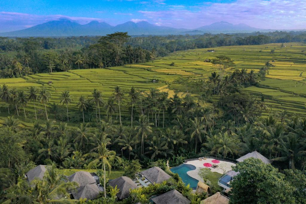 una vista aérea de un complejo en medio de un campo en Puri Sebali Resort, en Ubud