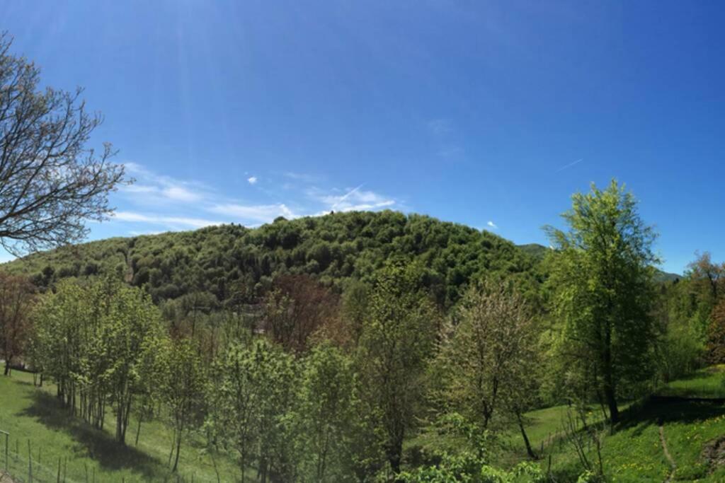 Príroda v okolí apartmánu