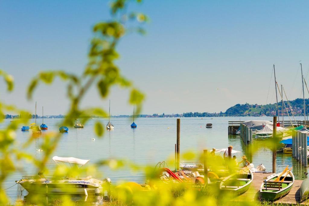 a view of a marina with boats in the water at Gästehaus am See in Gaienhofen