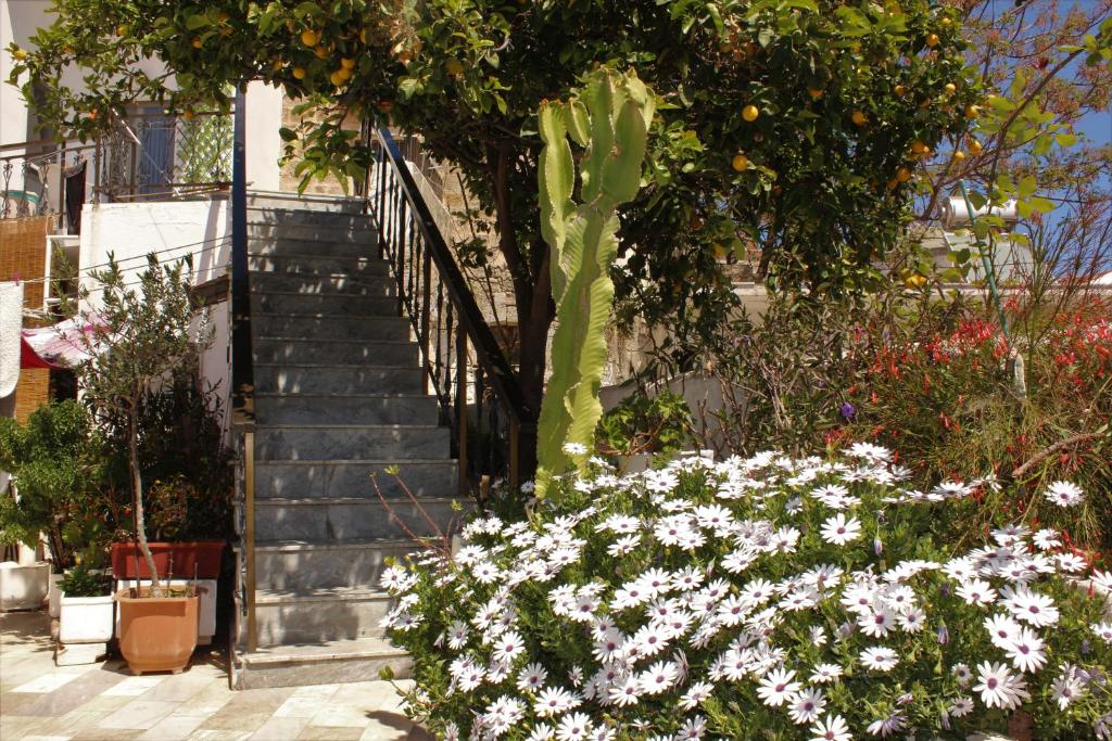 A garden outside Traditional Stone house