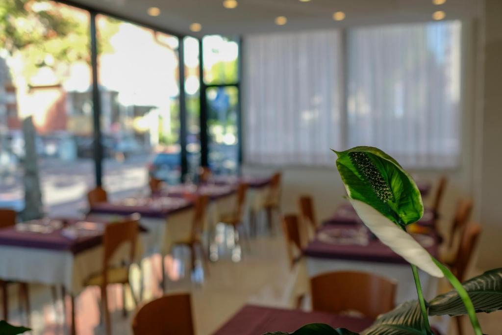 Restaurace v ubytování Hotel Astra