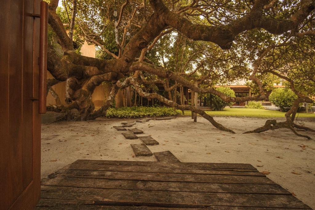  Casa Cajueiro - O endereço do paraíso na Bahia