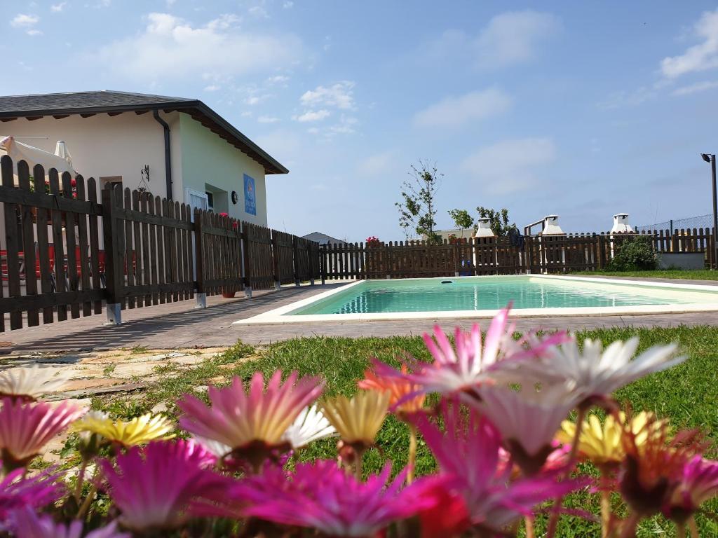 a pool with pink flowers in front of a fence at RinloCosta Camping in Rinlo