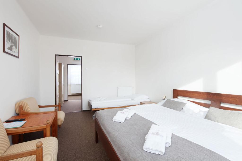 ProFamily Hotel TOP Benecko - 12