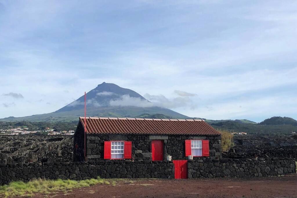 ein Haus mit roten Türen und einem Berg im Hintergrund in der Unterkunft Ocean view in UNESCO Heritage Site in Criação Velha