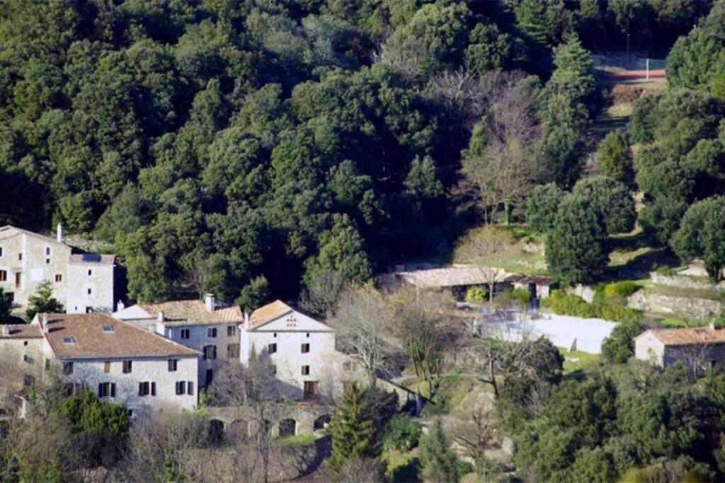 an aerial view of a village with houses and trees at Gîte Framboisier au Château des Pauses in Saint-André-de-Majencoules