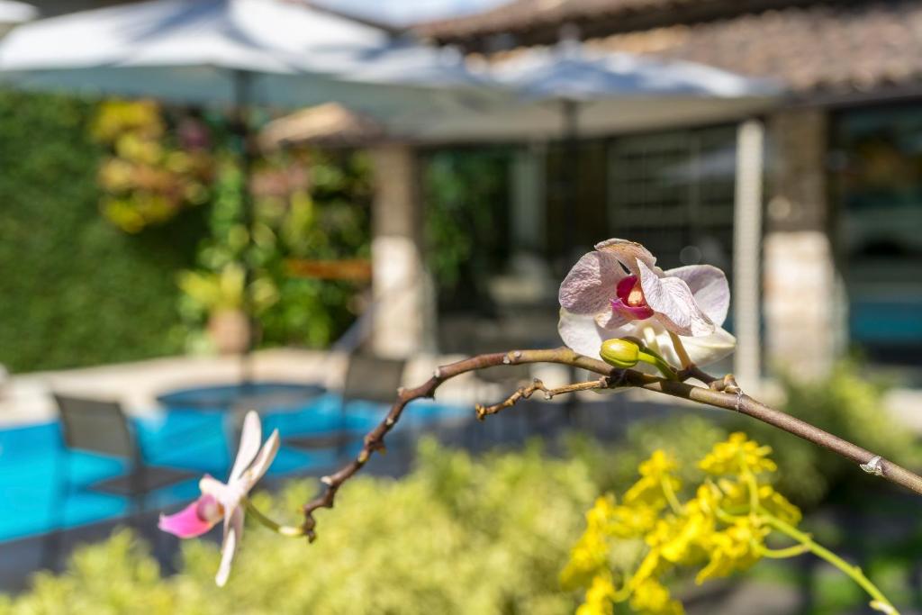  Casa Nostra Boutique Hotel