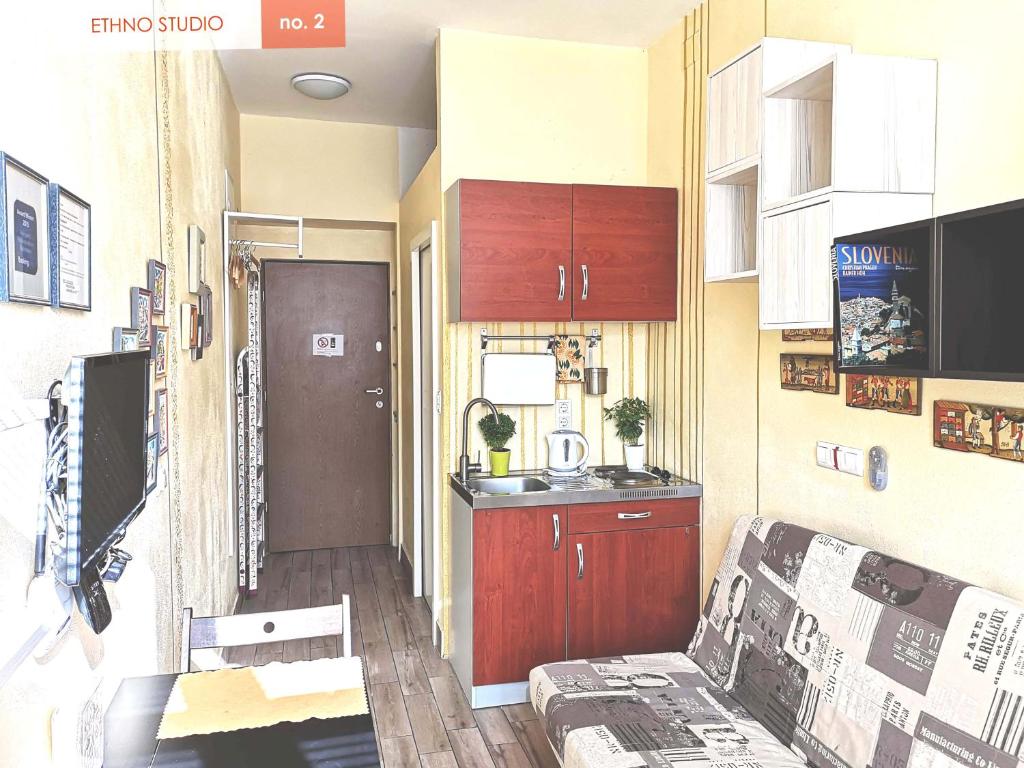 Kuchyň nebo kuchyňský kout v ubytování Ethno Apartments