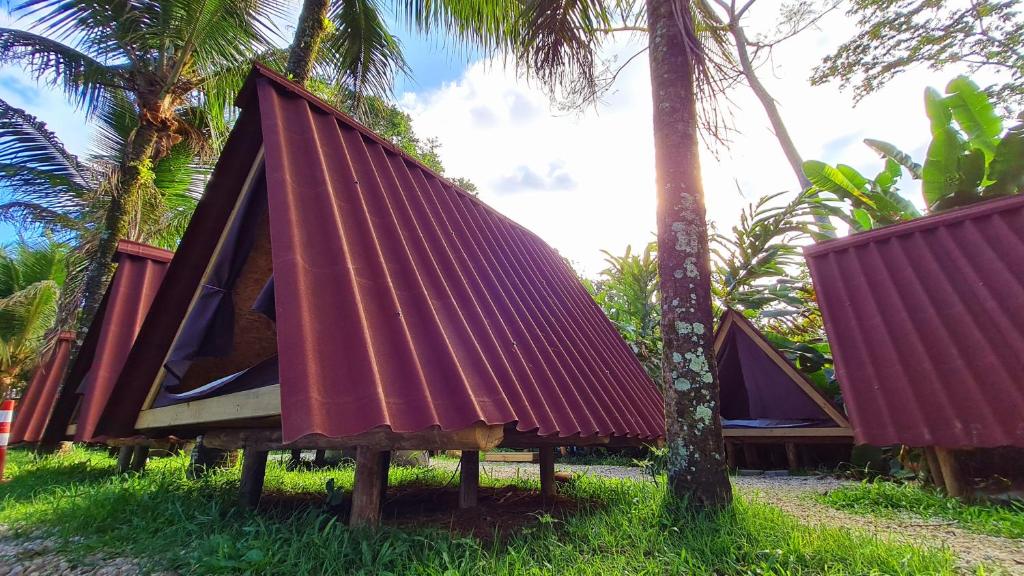 Surf BASE Hostel