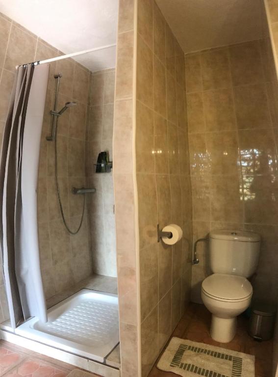 een badkamer met douche en toilet bij Cortijo el Abejaruco in Almuñécar