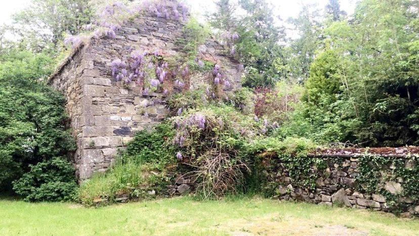 Zahrada ubytování Lacken Millhouse and Gardens