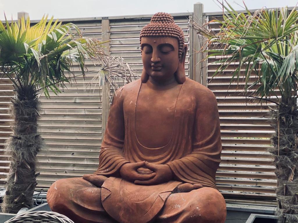 Zen attitude - Housity