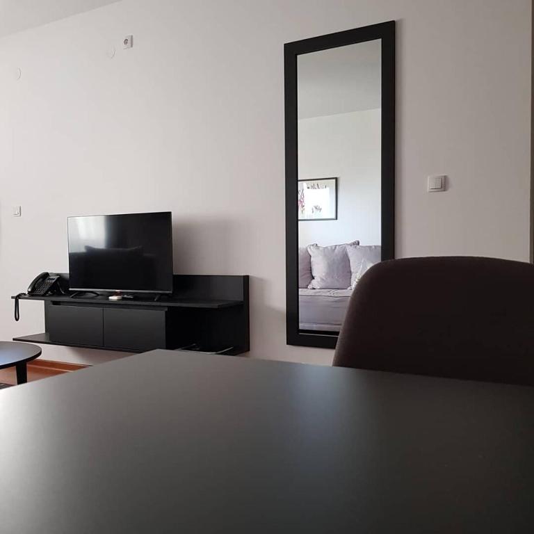 TV a/nebo společenská místnost v ubytování Apartman Ibarstar