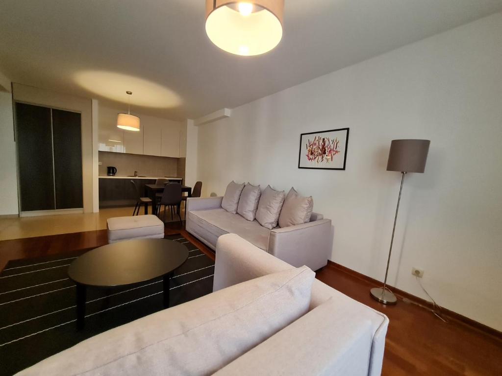 Kuchyň nebo kuchyňský kout v ubytování Apartman Ibarstar