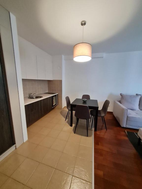 Kuchyň nebo kuchyňský kout v ubytování Apartman Ibarstar