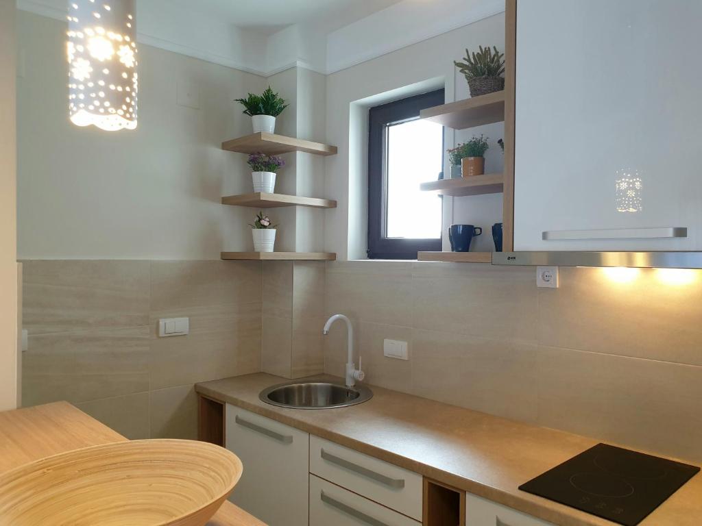 Kuchyň nebo kuchyňský kout v ubytování PRONTO apartman & PRONTO studios