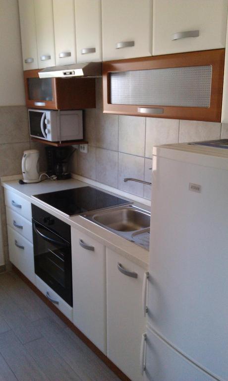 Kuchyň nebo kuchyňský kout v ubytování Apartments Nagj