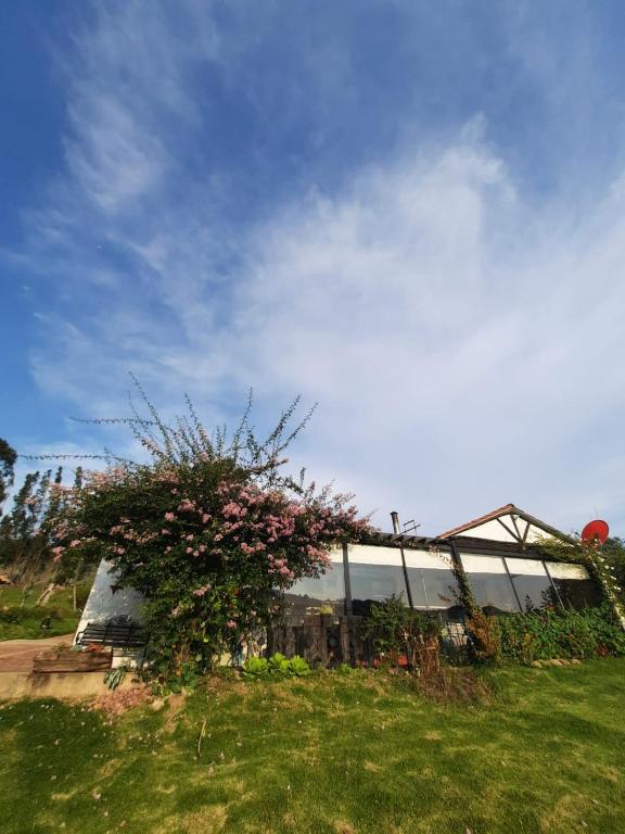 Zahrada ubytování La Sarita, Hospedaje rural.
