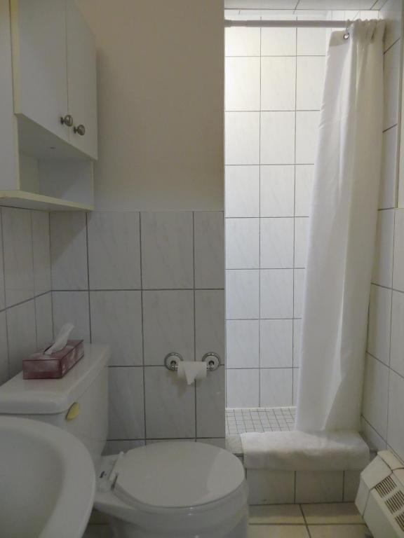 a bathroom with a toilet and a sink and a shower at Victoria's Mansion Guest House in Toronto