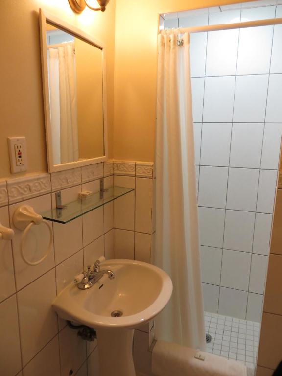 a bathroom with a sink and a shower with a shower curtain at Victoria's Mansion Guest House in Toronto