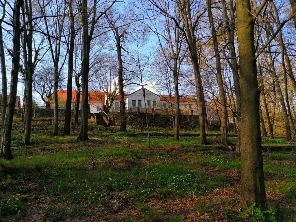 Hotel Kreuzbergbaude Jauernick-Buschbach April 2021